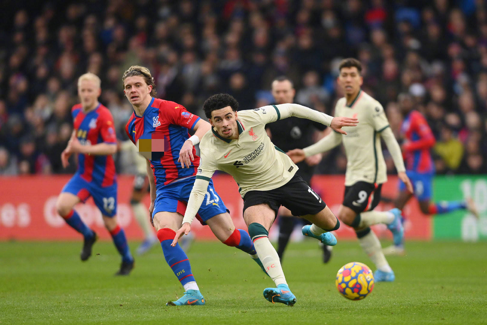 支持和理解 支持和理解